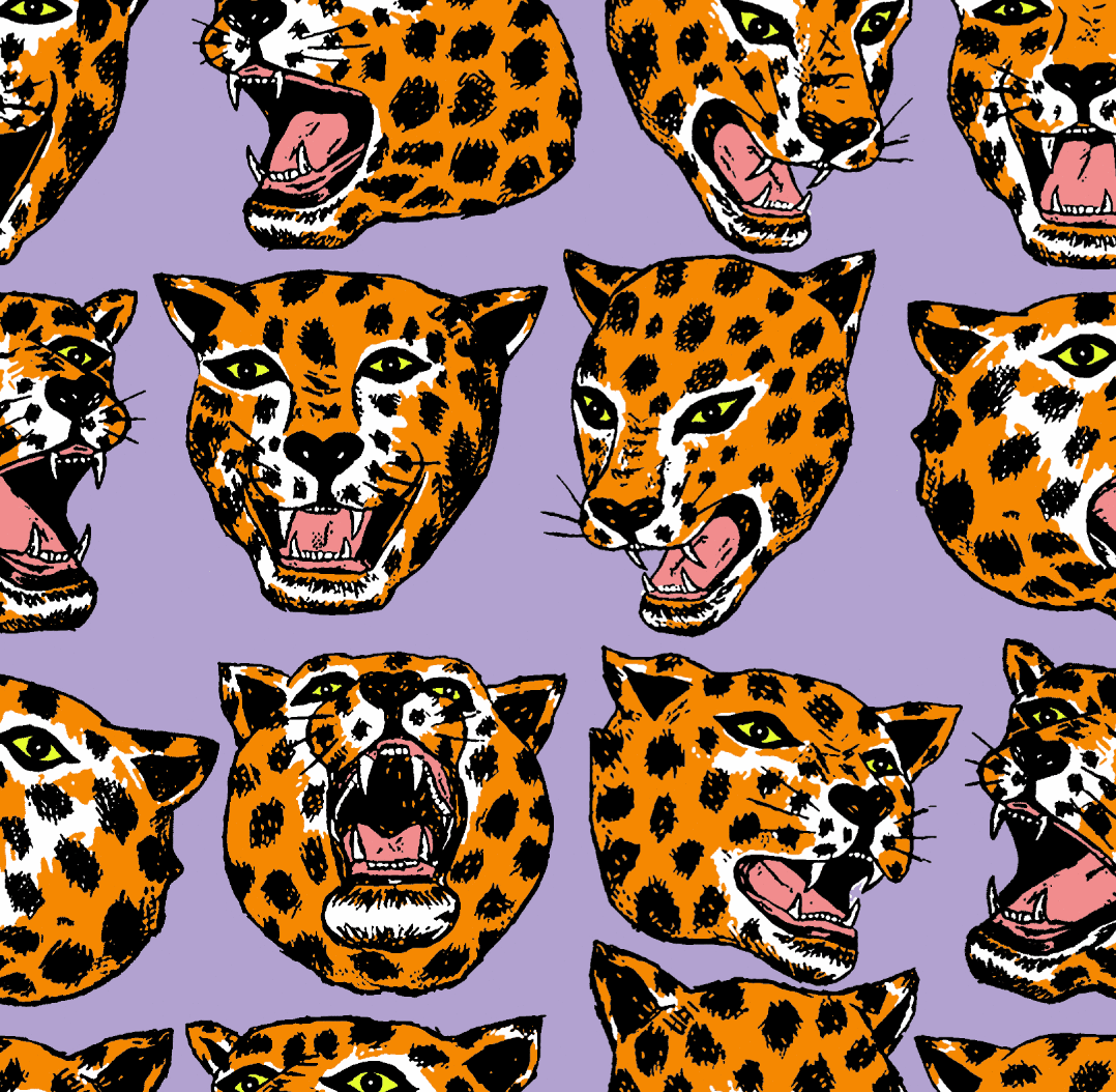 Cheetah Head