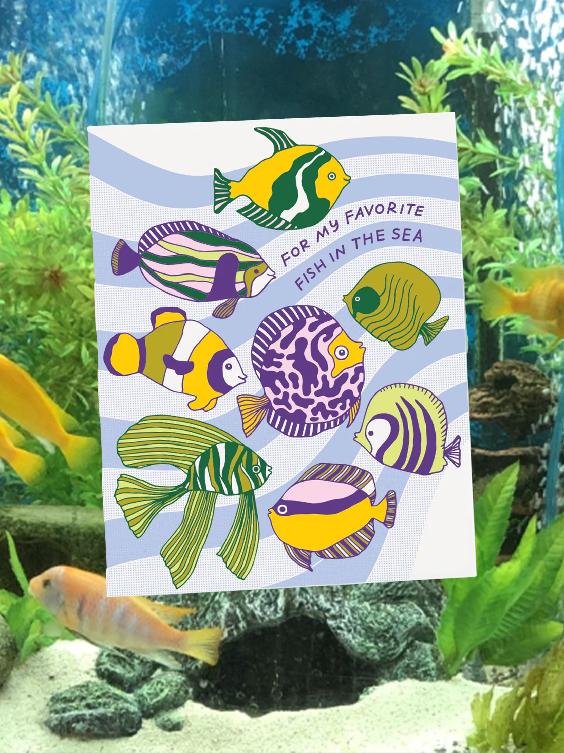 Fish in the Sea Card