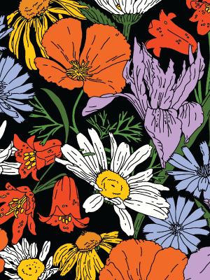 Wildflowers