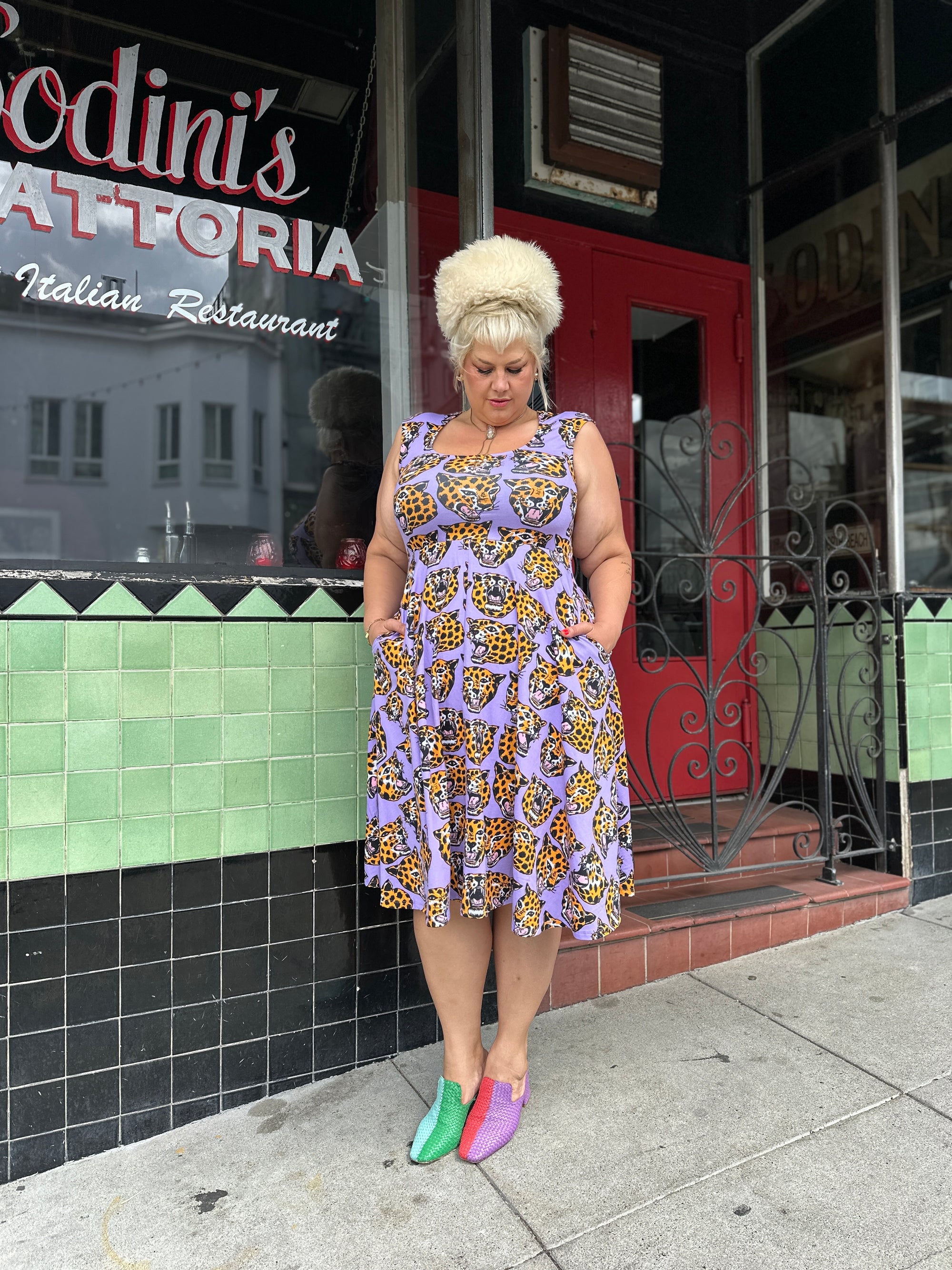 Picnic Dress Cheetah Head