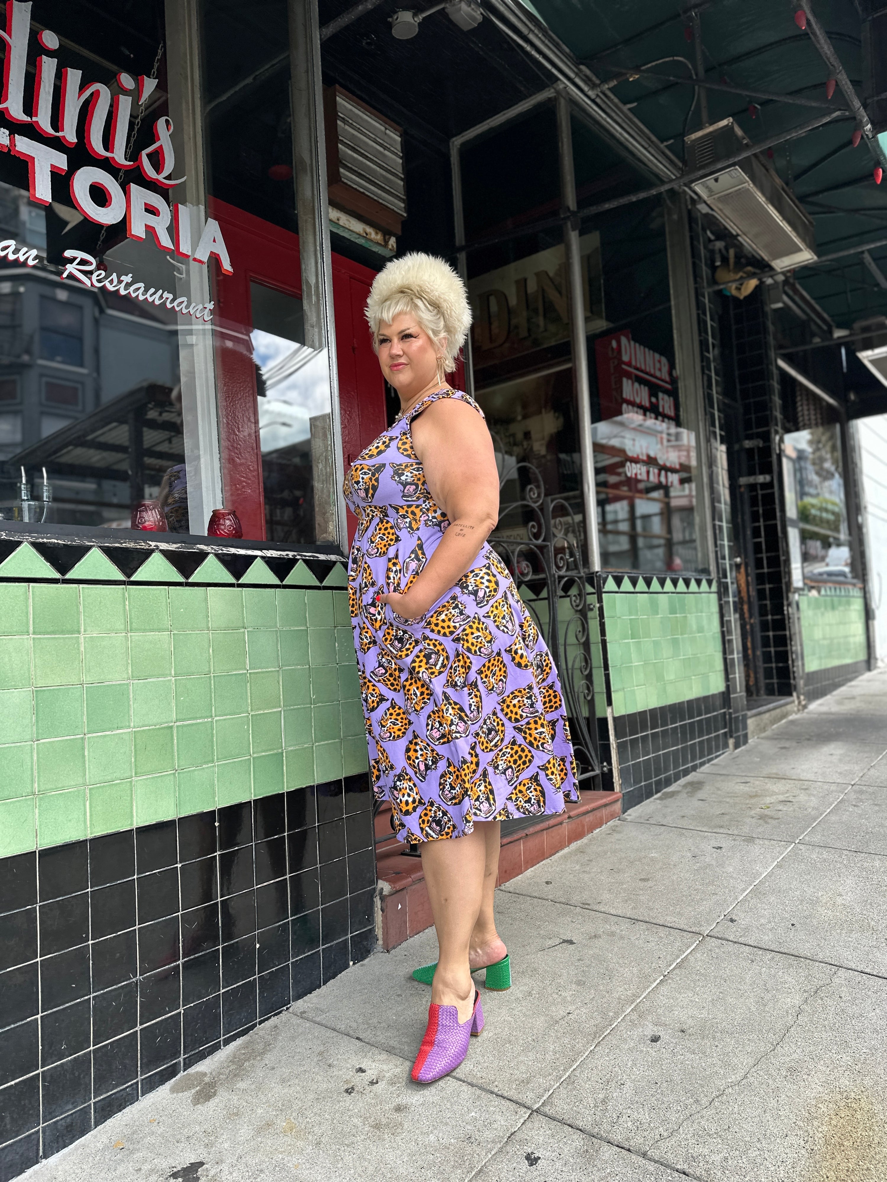 Picnic Dress Cheetah Head