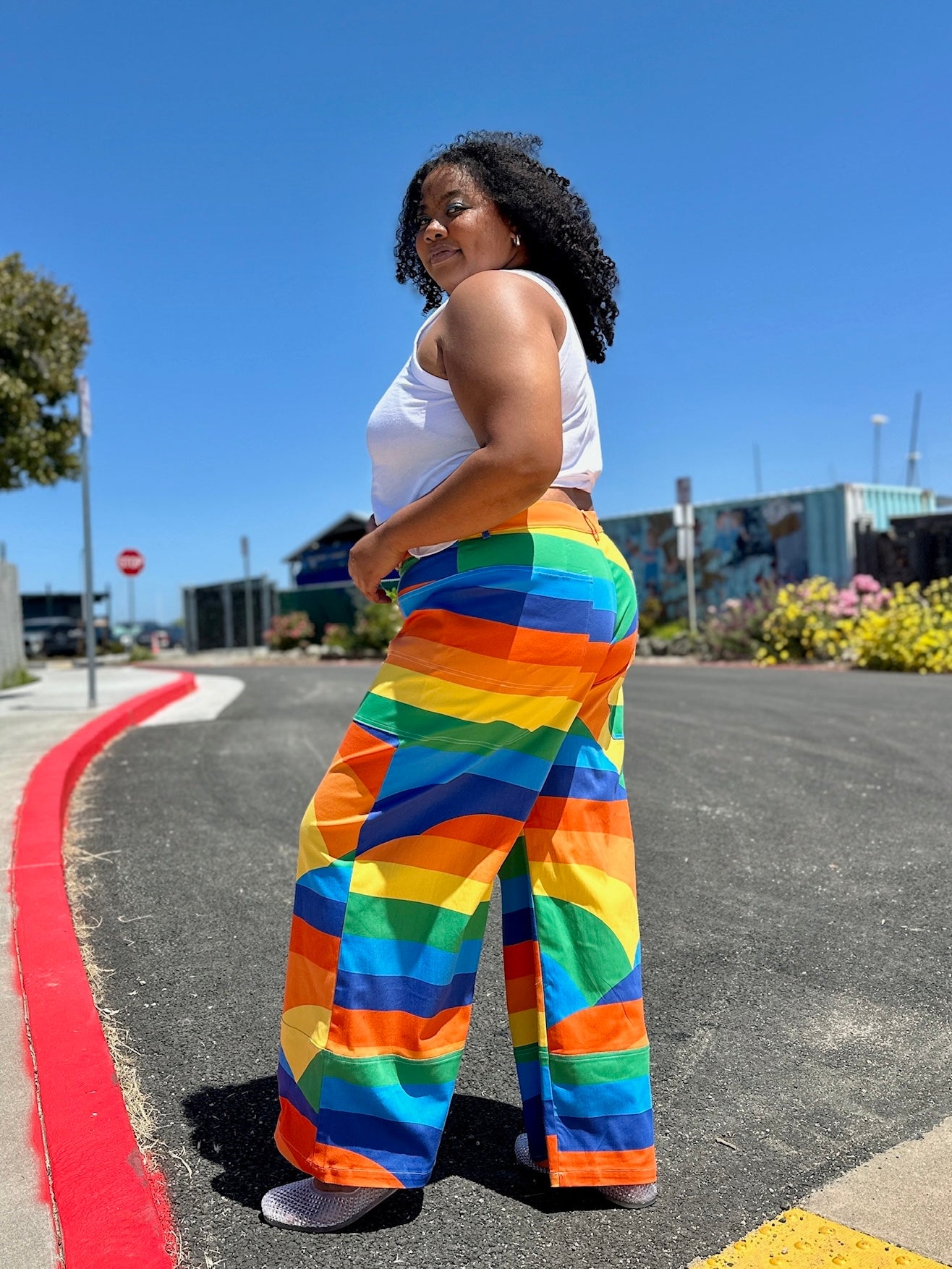 Skater Pant Sunset Valley