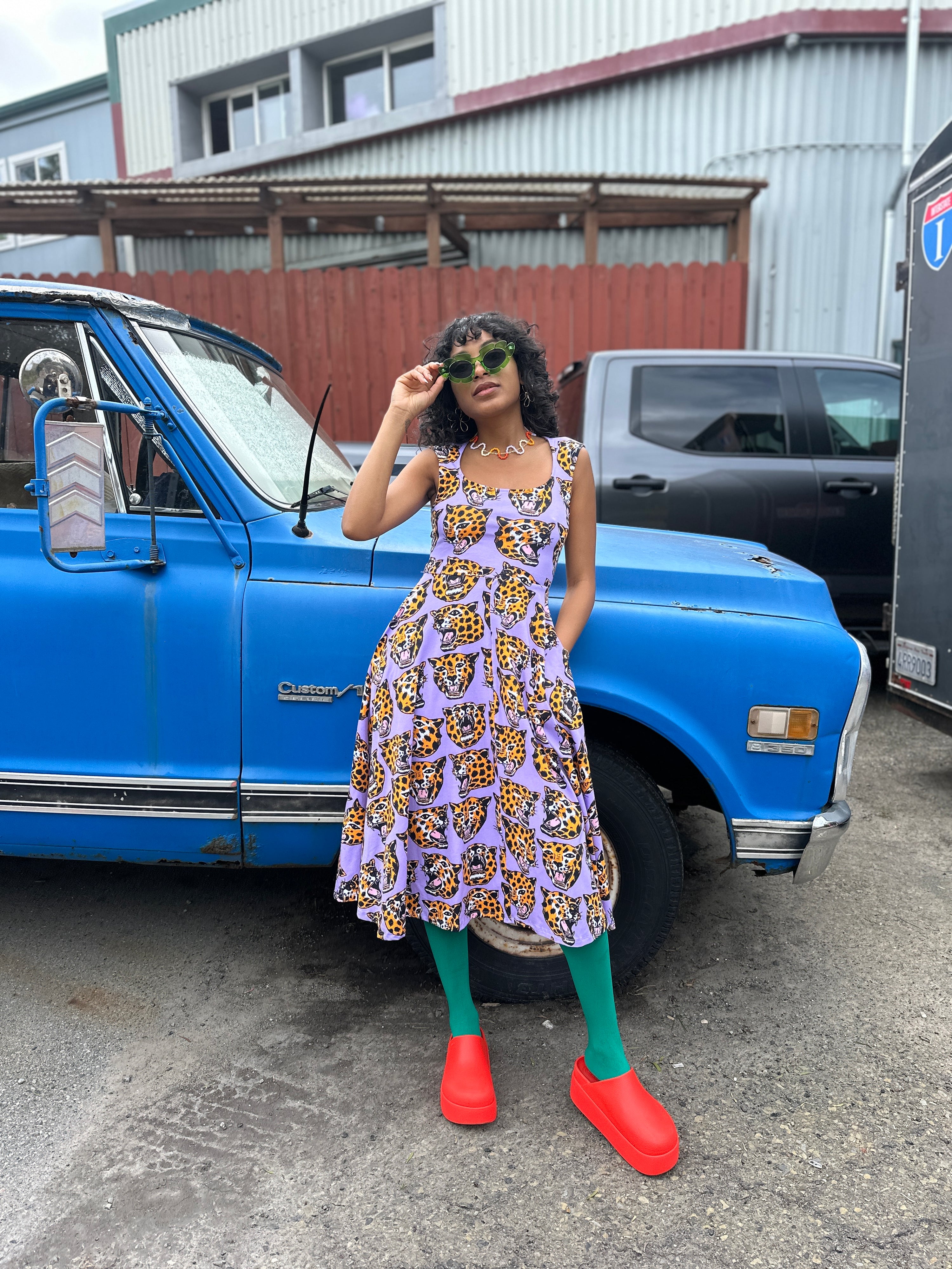 Picnic Dress Cheetah Head