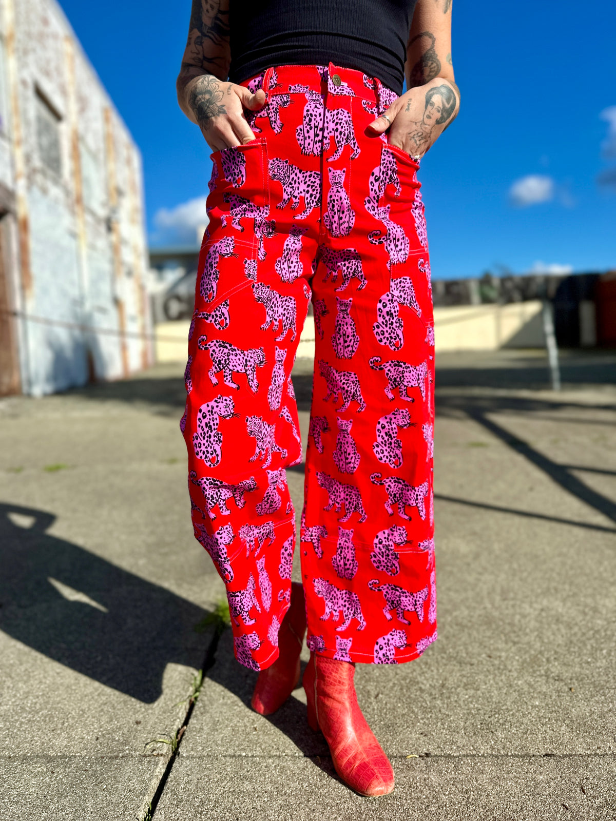 Skater Pant Sondler Cat