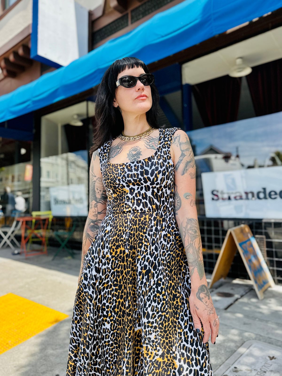 Picnic Dress Wildcat