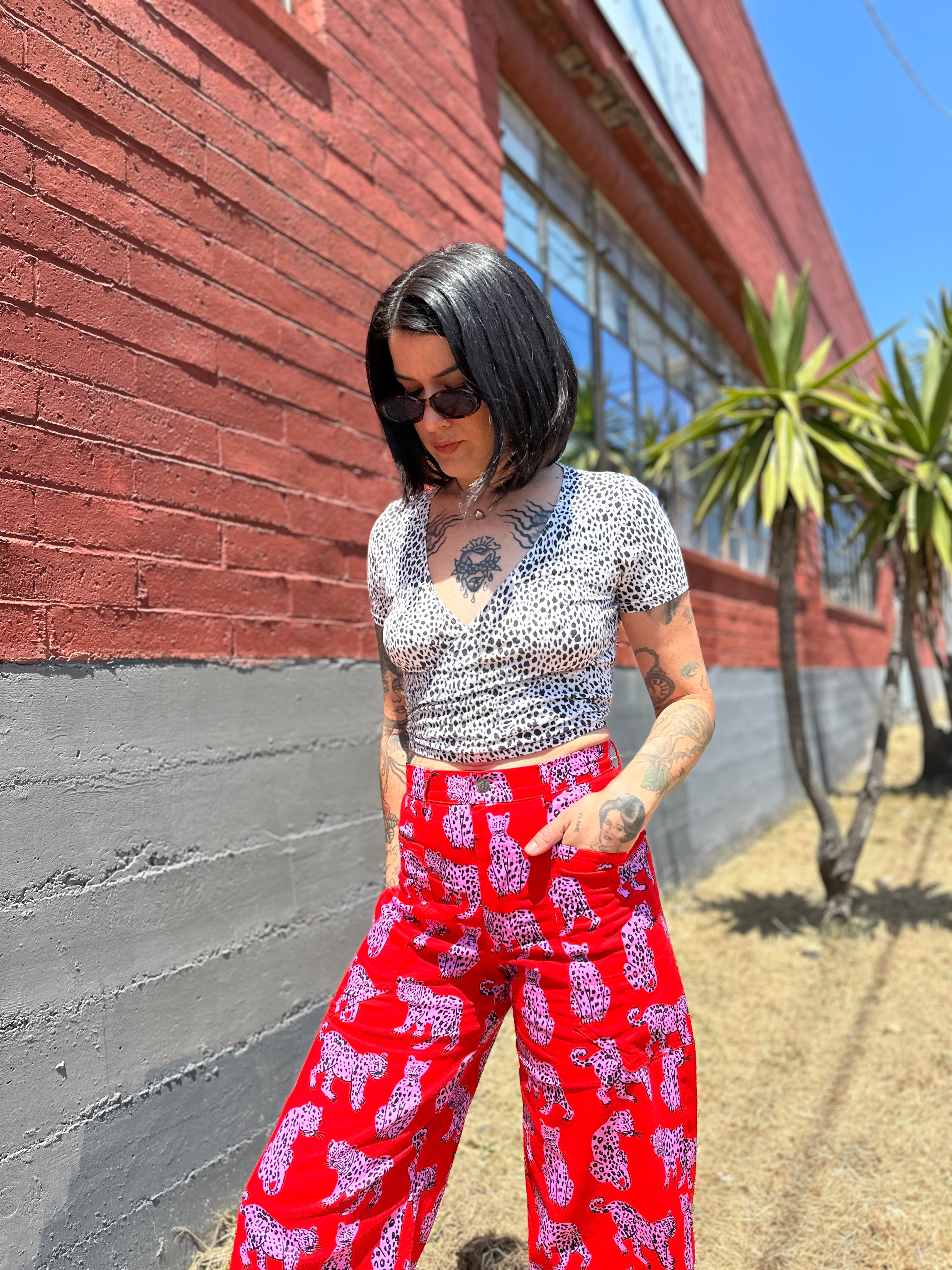 Skater Pant Sondler Cat