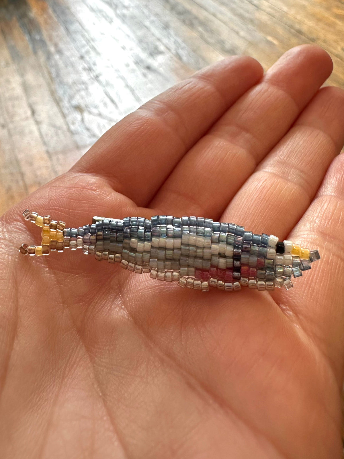 Sardine Clip