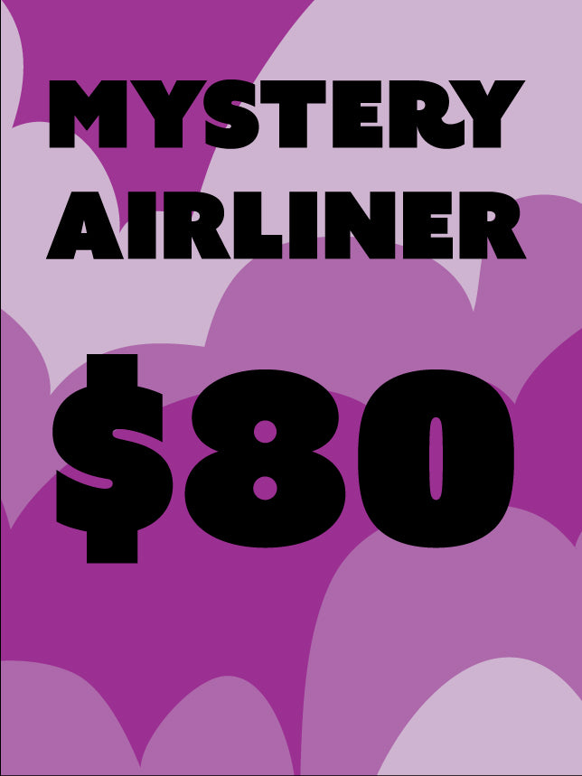 $80 Mystery AIRLINER DRESS