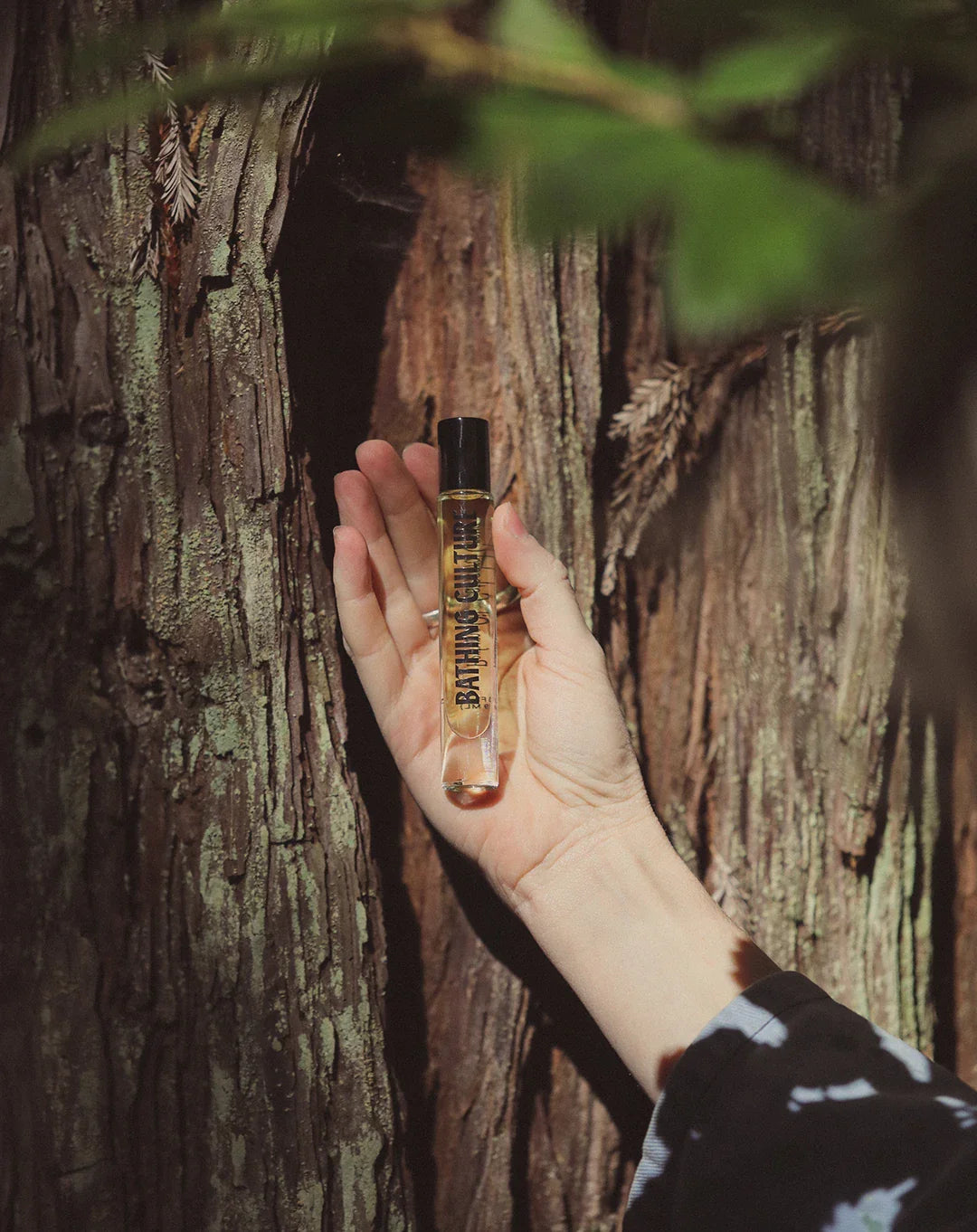 Cathedral Grove Perfume Oil