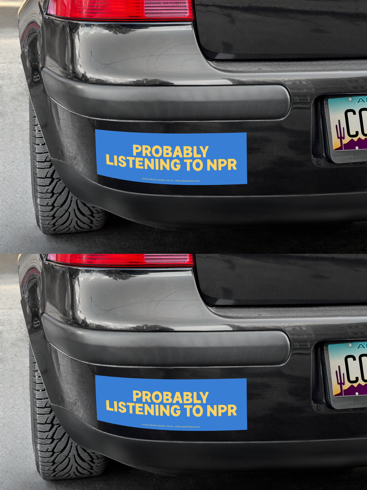 Probably Listening to NPR Bumper Sticker