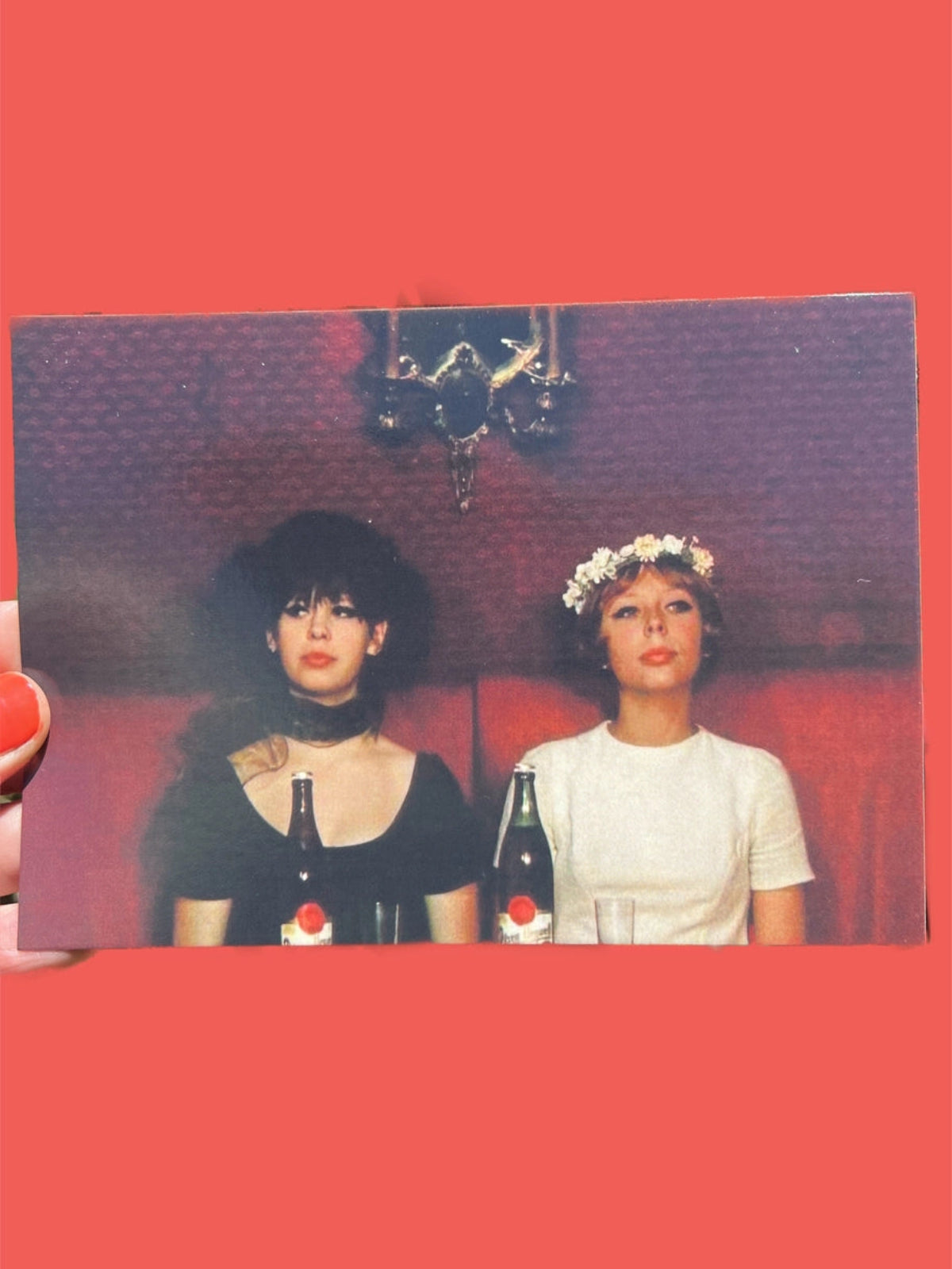 Daisies Postcard