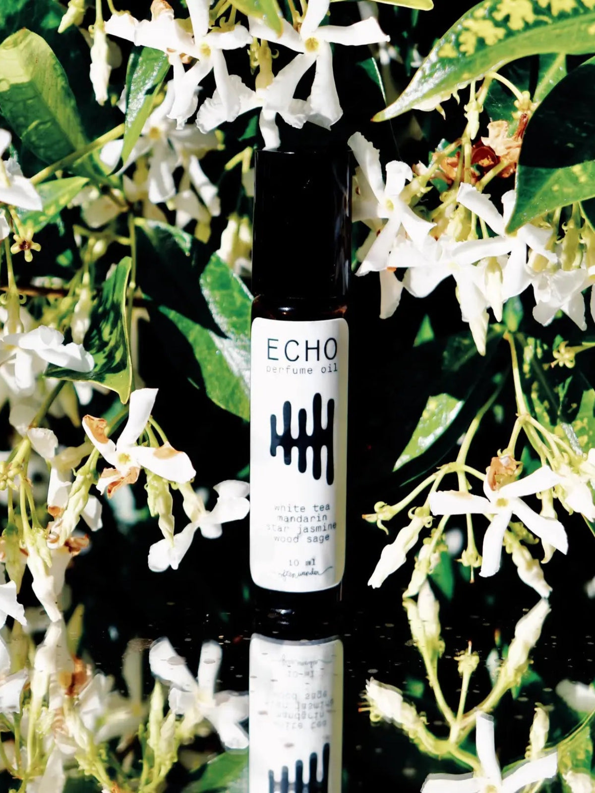Perfume Oil - Echo