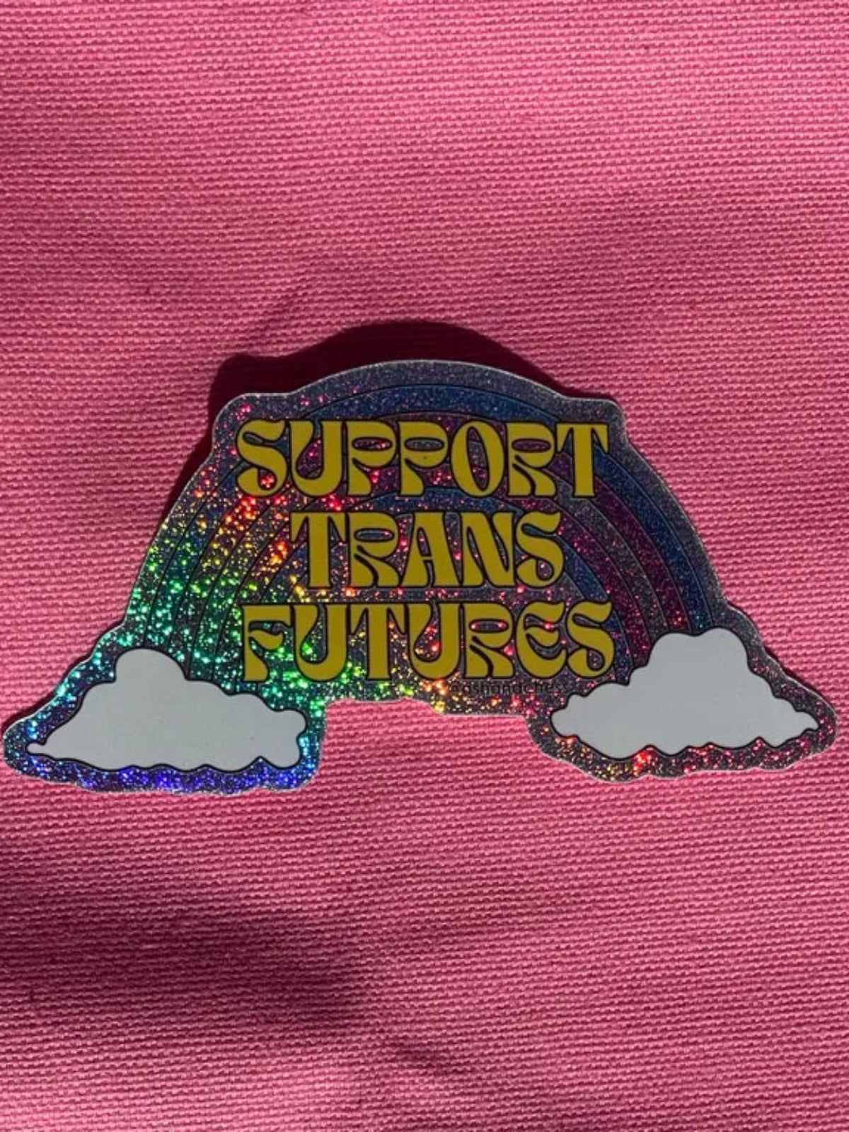 Support Trans Futures Sticker