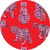 SONDLER CAT