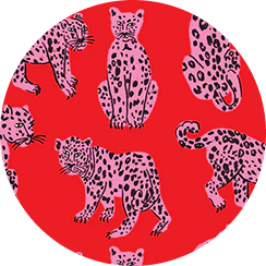 SONDLER CAT