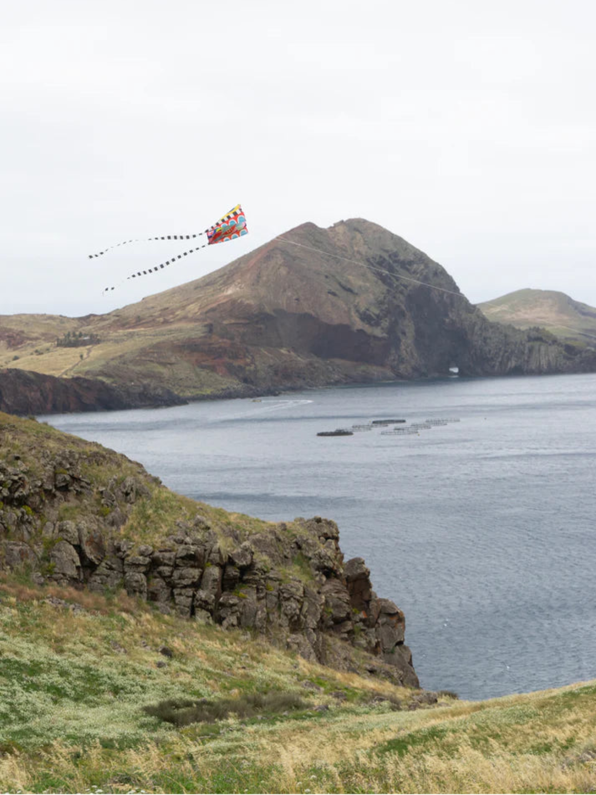 Pocket Kite