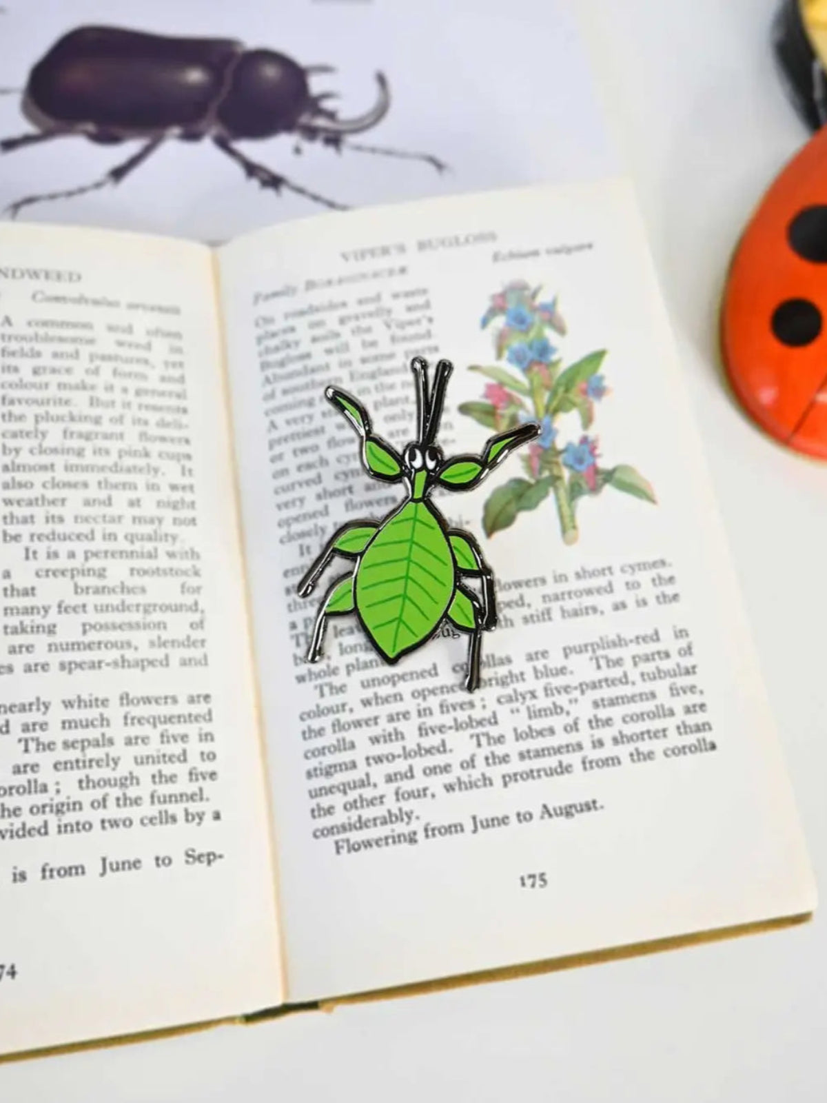 Leaf Bug Pin