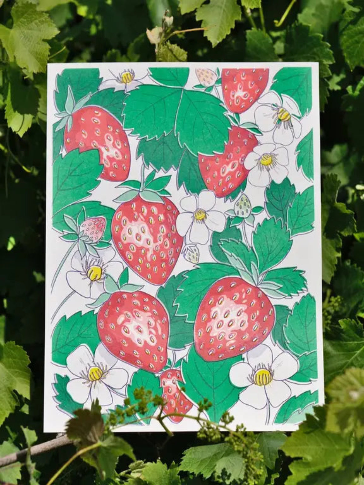 Strawberries Print