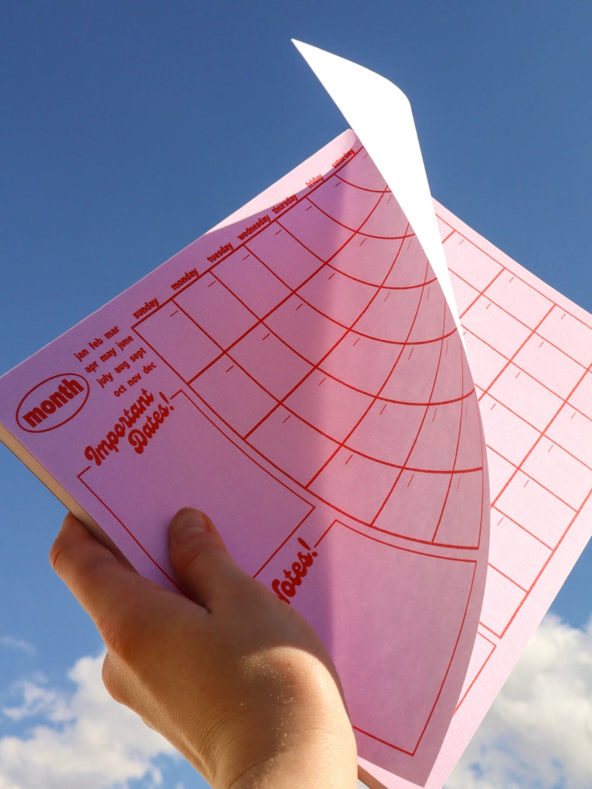 Pink Monthly Notepad