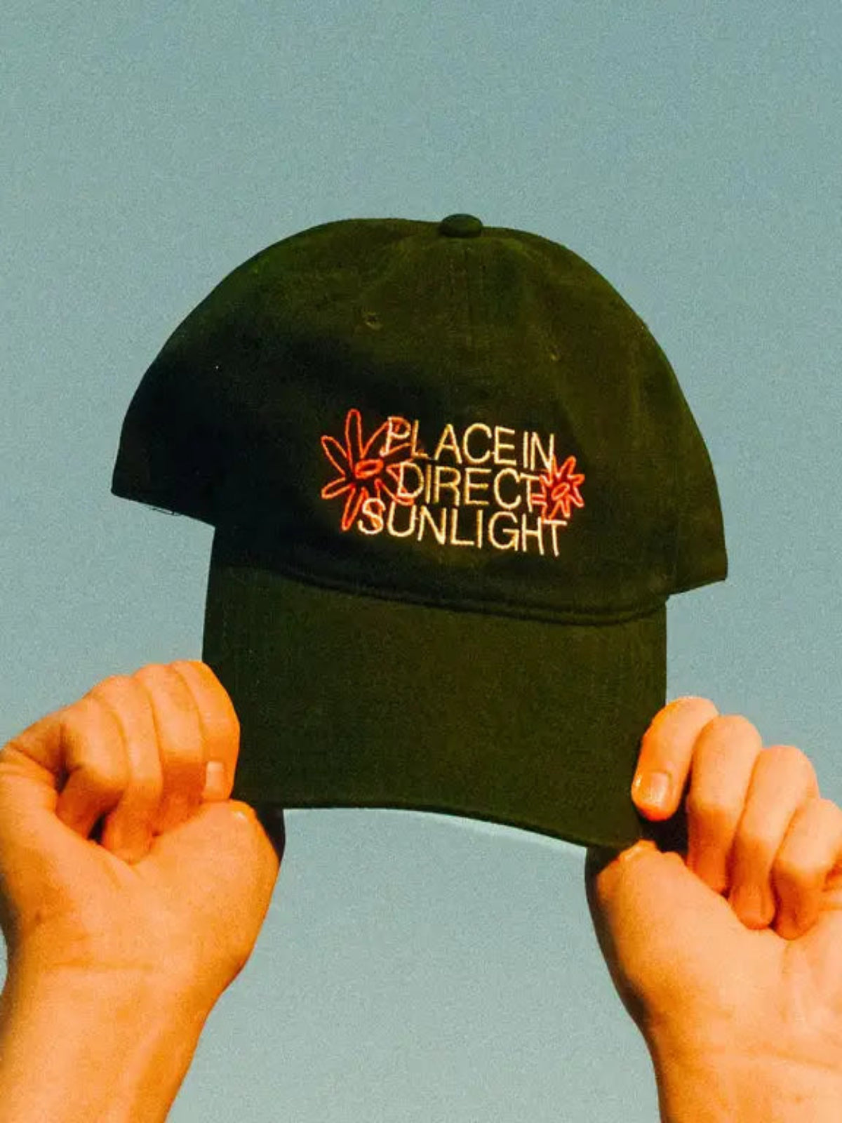 Place in Direct Sunlight Hat