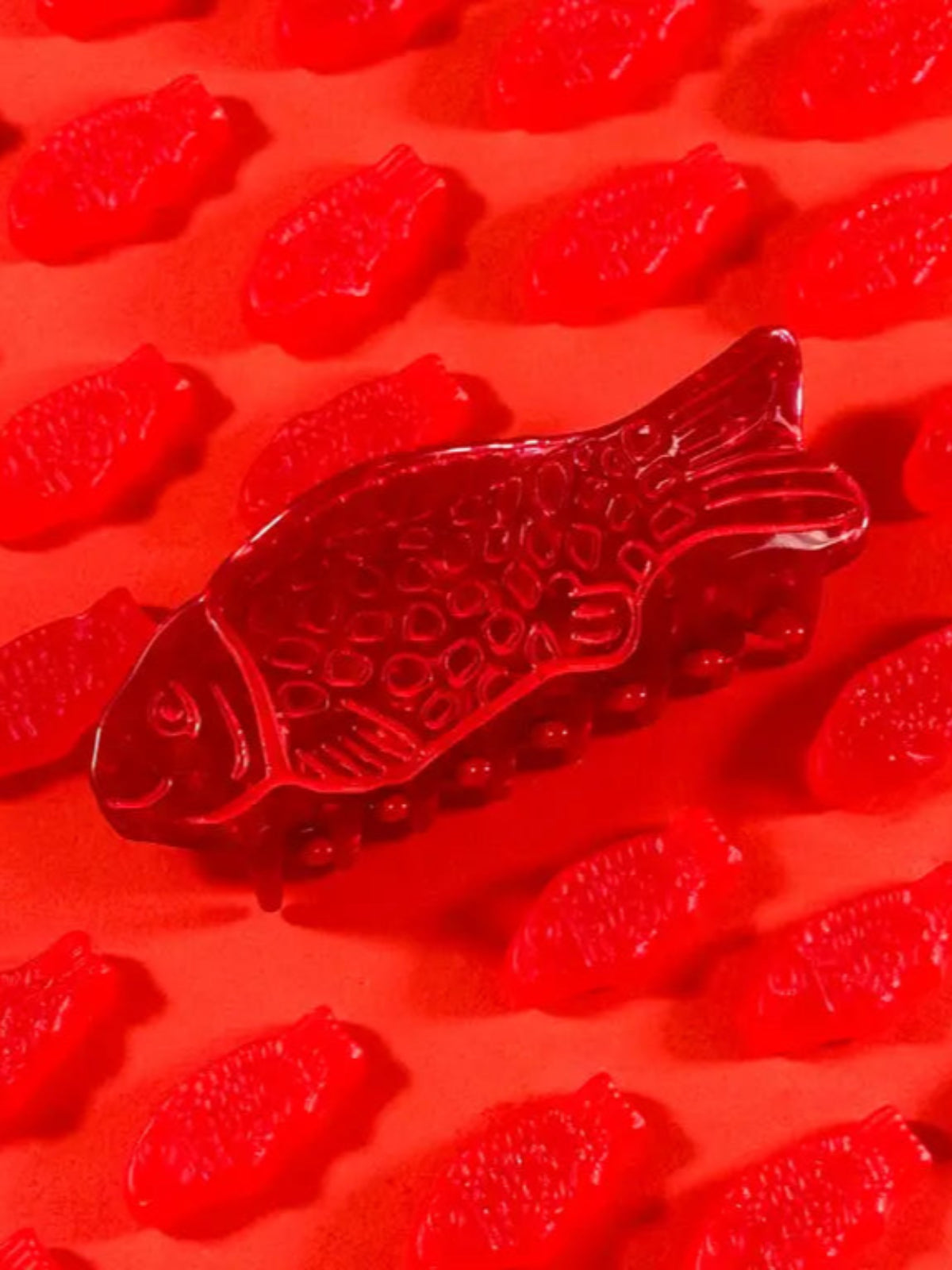 Sweetish Fish Hair Claw