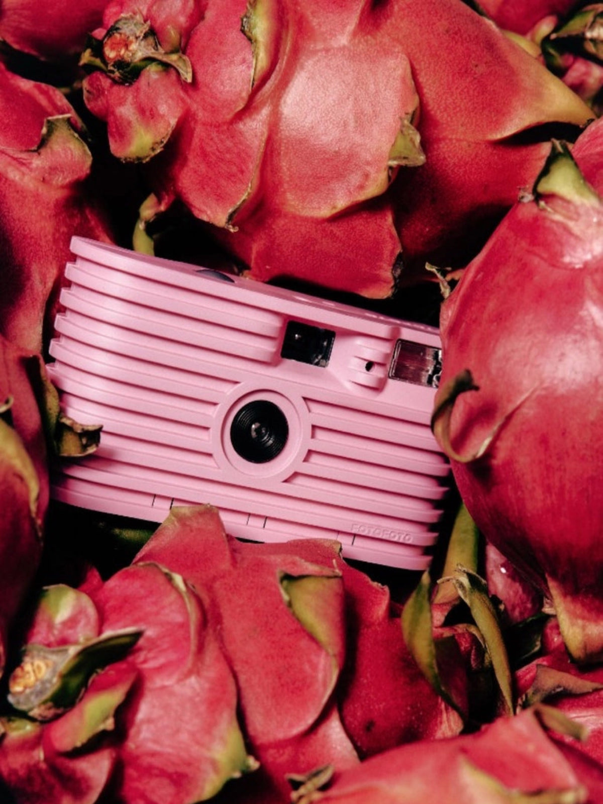 Sustainable Disposable Camera - Tulip