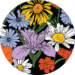 WILDFLOWERS