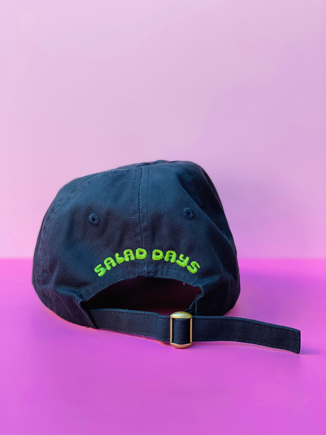 Salad Days Very Cool Dad Hat