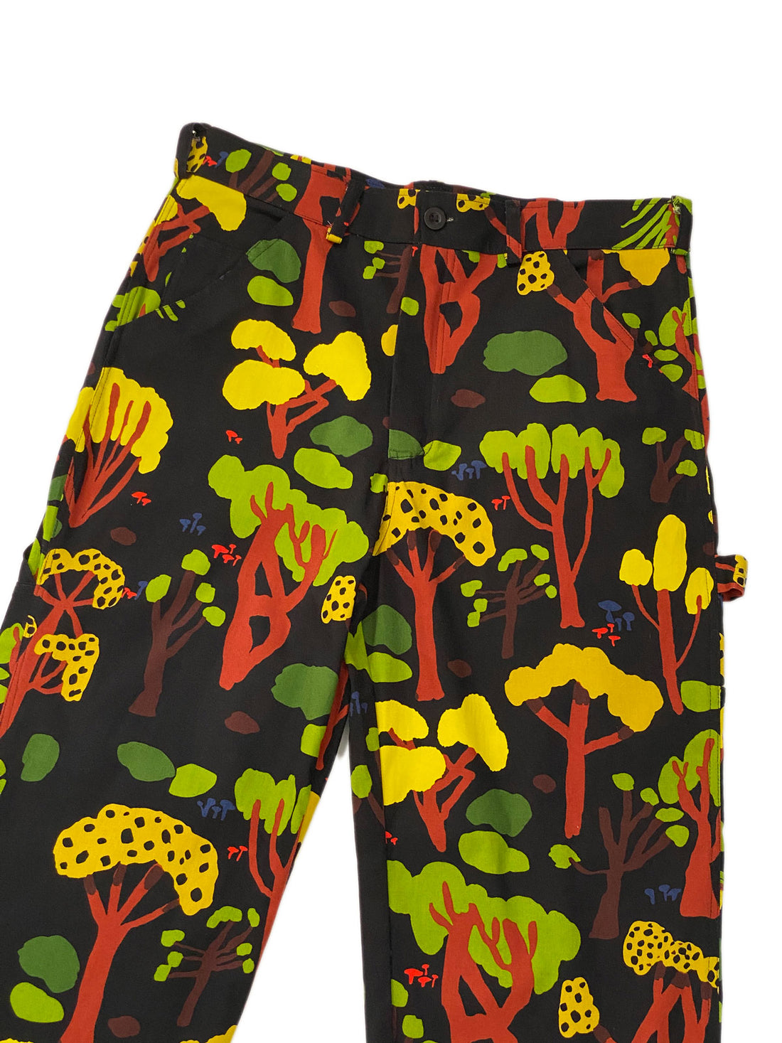 Painter Pant Forager